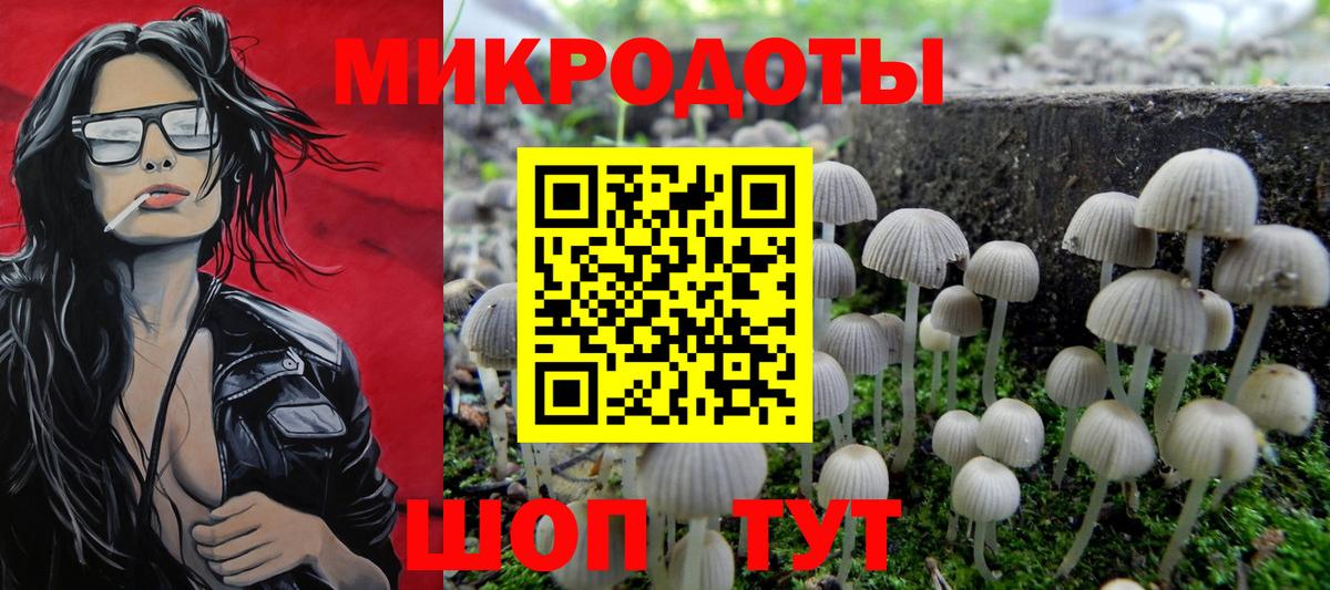 Губкинский  Псилоцибиновые грибы прущие грибы  Вход с VPN 